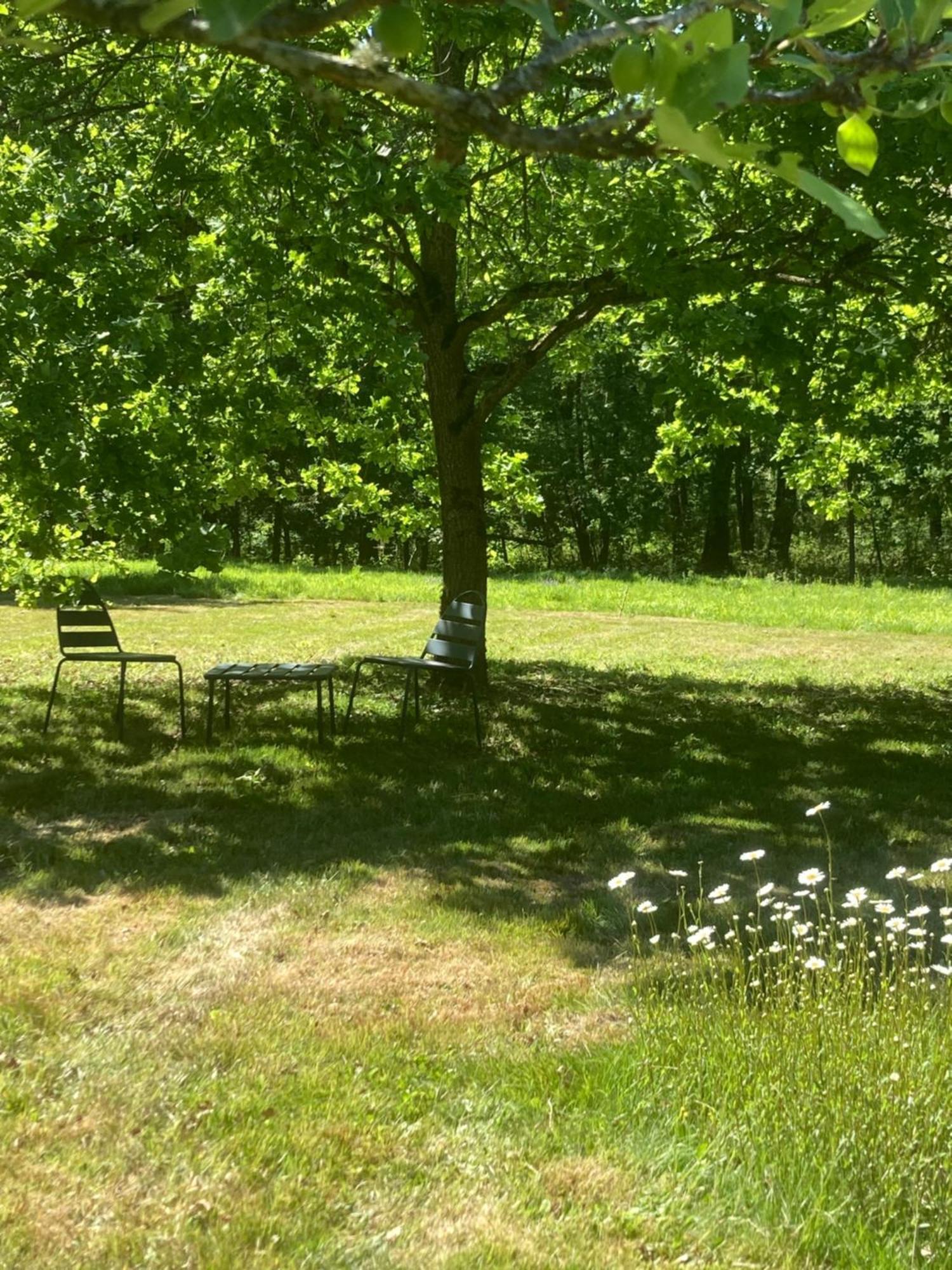 Les Bois De Ravel Chambres D'Hotes Exterior photo